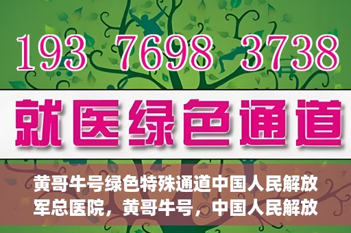黄哥牛号绿色特殊通道中国人民解放军总医院，黄哥牛号，中国人民解放军总医院开启绿色特殊通道助力健康中国