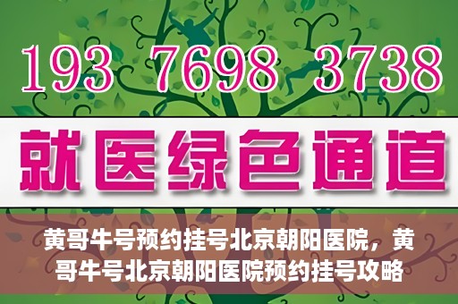 黄哥牛号预约挂号北京朝阳医院，黄哥牛号北京朝阳医院预约挂号攻略