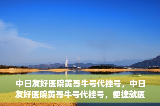 中日友好医院黄哥牛号代挂号，中日友好医院黄哥牛号代挂号，便捷就医背后的故事