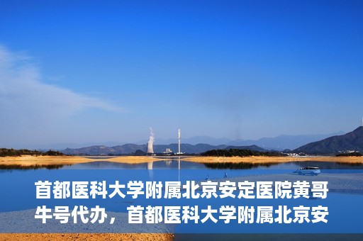 首都医科大学附属北京安定医院黄哥牛号代办，首都医科大学附属北京安定医院，黄哥牛号代办服务解析