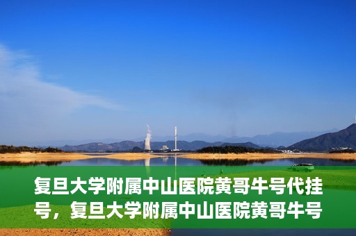 复旦大学附属中山医院黄哥牛号代挂号，复旦大学附属中山医院黄哥牛号代挂号背后的故事与真相探索