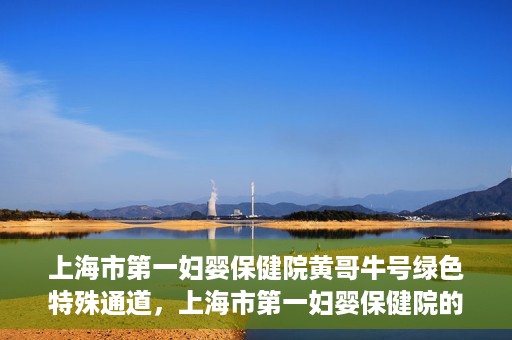 上海市第一妇婴保健院黄哥牛号绿色特殊通道，上海市第一妇婴保健院的绿色特殊通道，黄哥牛号行动启动