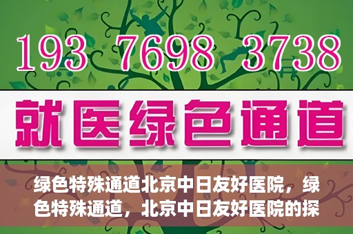 绿色特殊通道北京中日友好医院，绿色特殊通道，北京中日友好医院的探索与实践