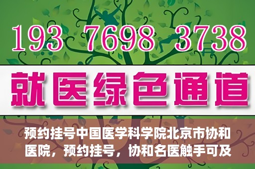 预约挂号中国医学科学院北京市协和医院，预约挂号，协和名医触手可及，中国医学科学院北京市协和医院就医指南