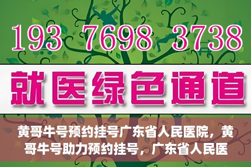 黄哥牛号预约挂号广东省人民医院，黄哥牛号助力预约挂号，广东省人民医院便捷就医新体验