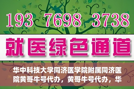 华中科技大学同济医学院附属同济医院黄哥牛号代办，黄哥牛号代办，华中科技大学同济医学院附属同济医院的便捷服务新探