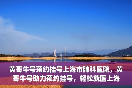 黄哥牛号预约挂号上海市肺科医院，黄哥牛号助力预约挂号，轻松就医上海市肺科医院