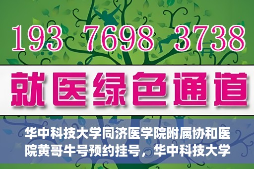 华中科技大学同济医学院附属协和医院黄哥牛号预约挂号，华中科技大学同济医学院附属协和医院黄哥牛号预约挂号攻略解析