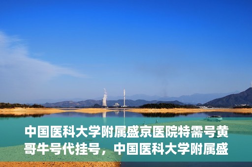 中国医科大学附属盛京医院特需号黄哥牛号代挂号，中国医科大学附属盛京医院特需号黄哥牛号代挂号背后的故事与真相揭秘