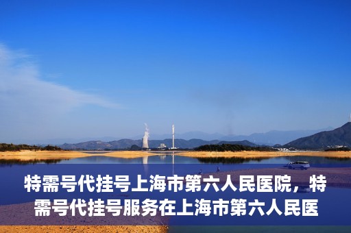 特需号代挂号上海市第六人民医院，特需号代挂号服务在上海市第六人民医院的使用体验与便利性解析