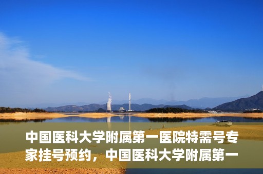 中国医科大学附属第一医院特需号专家挂号预约，中国医科大学附属第一医院特需专家挂号预约攻略