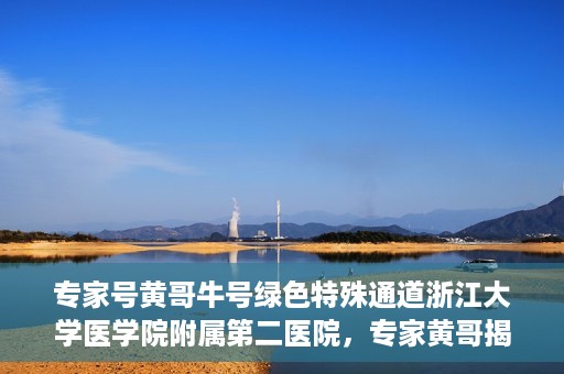 专家号黄哥牛号绿色特殊通道浙江大学医学院附属第二医院，专家黄哥揭秘绿色特殊通道，浙江大学医学院附属第二医院的医疗创新之路