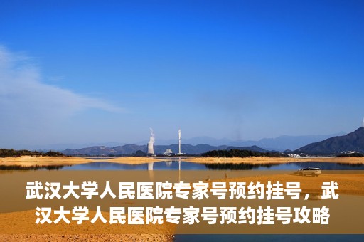 武汉大学人民医院专家号预约挂号，武汉大学人民医院专家号预约挂号攻略，一站式解决您的就医难题