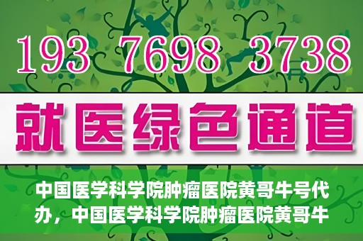 中国医学科学院肿瘤医院黄哥牛号代办，中国医学科学院肿瘤医院黄哥牛号挂号代办服务解析