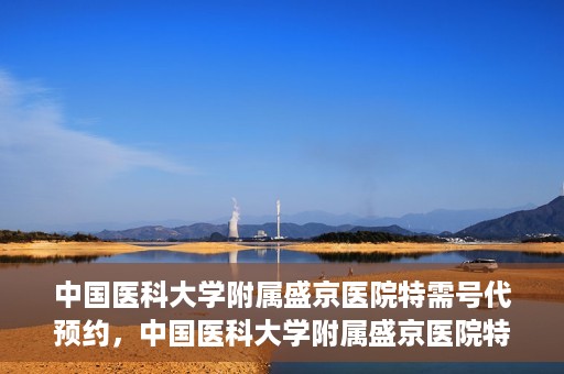 中国医科大学附属盛京医院特需号代预约，中国医科大学附属盛京医院特需号预约服务解析