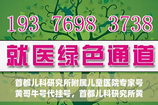 首都儿科研究所附属儿童医院专家号黄哥牛号代挂号，首都儿科研究所黄哥专家号代挂号解析，专业医疗资源的预约与利用