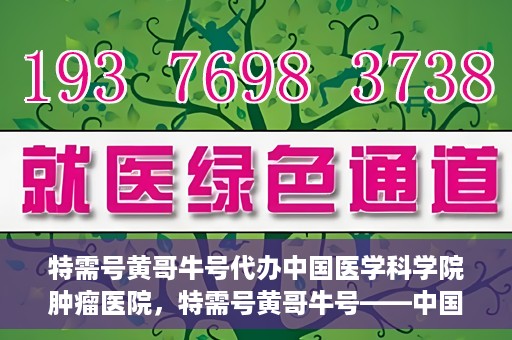 特需号黄哥牛号代办中国医学科学院肿瘤医院，特需号黄哥牛号——中国医学科学院肿瘤医院代办服务详解