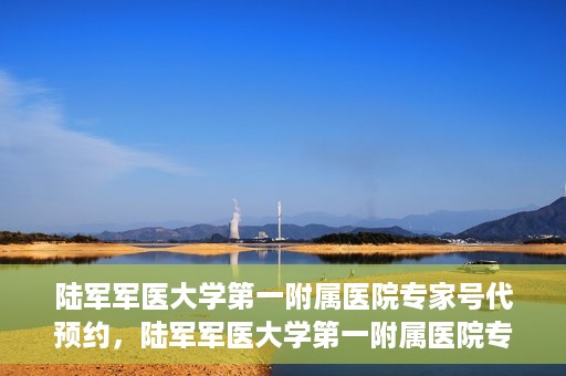陆军军医大学第一附属医院专家号代预约，陆军军医大学第一附属医院专家号预约攻略，便捷代预约服务解析
