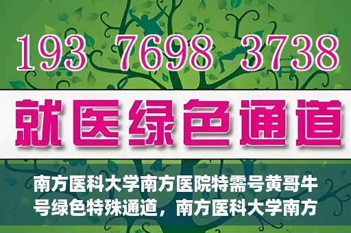 南方医科大学南方医院特需号黄哥牛号绿色特殊通道，南方医科大学南方医院特需号黄哥牛号，绿色特殊通道揭秘