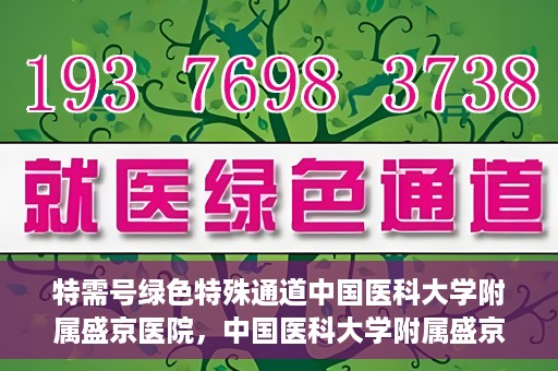 特需号绿色特殊通道中国医科大学附属盛京医院，中国医科大学附属盛京医院特需号绿色特殊通道服务解析