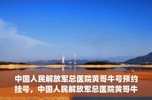 中国人民解放军总医院黄哥牛号预约挂号，中国人民解放军总医院黄哥牛号预约挂号攻略解析