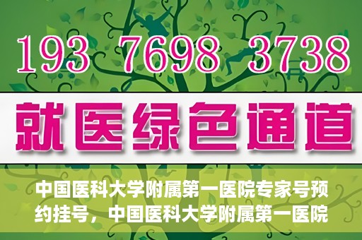 中国医科大学附属第一医院专家号预约挂号，中国医科大学附属第一医院专家号预约挂号攻略，一站式解决您的就医需求