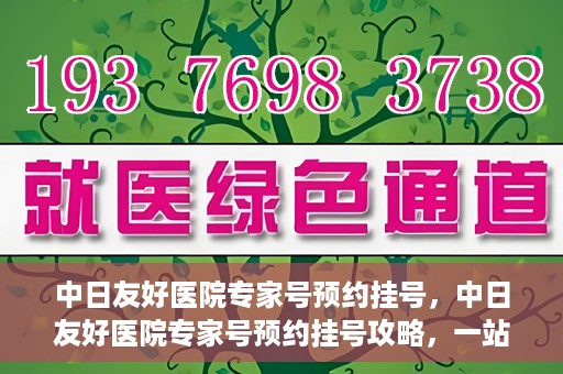 中日友好医院专家号预约挂号，中日友好医院专家号预约挂号攻略，一站式解决您的就医需求