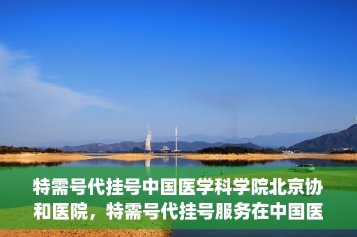 特需号代挂号中国医学科学院北京协和医院，特需号代挂号服务在中国医学科学院北京协和医院的使用体验与解析