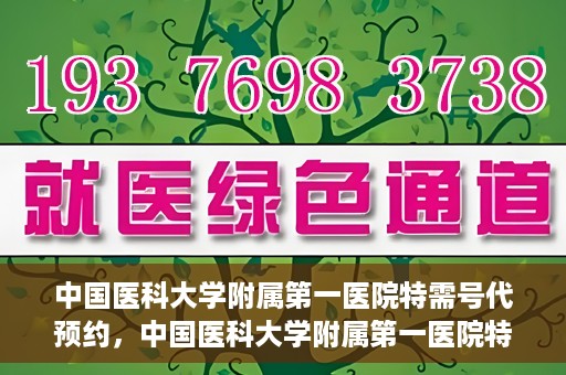 中国医科大学附属第一医院特需号代预约，中国医科大学附属第一医院特需号预约服务解析
