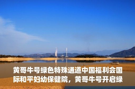 黄哥牛号绿色特殊通道中国福利会国际和平妇幼保健院，黄哥牛号开启绿色特殊通道，助力国际和平妇幼保健院中国福利行动