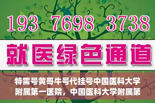 特需号黄哥牛号代挂号中国医科大学附属第一医院，中国医科大学附属第一医院特需号黄哥牛号代挂号服务解析