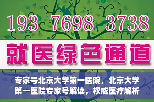 专家号北京大学第一医院，北京大学第一医院专家号解读，权威医疗解析与深度洞察
