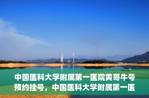 中国医科大学附属第一医院黄哥牛号预约挂号，中国医科大学附属第一医院黄哥牛号预约挂号指南，轻松挂号，健康无忧！