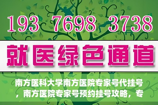南方医科大学南方医院专家号代挂号，南方医院专家号预约挂号攻略，专业解读与便捷服务体验