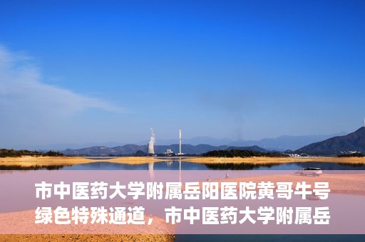 市中医药大学附属岳阳医院黄哥牛号绿色特殊通道，市中医药大学附属岳阳医院黄哥牛号，绿色特殊通道开启健康之门