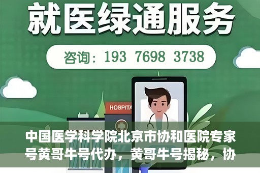 中国医学科学院北京市协和医院专家号黄哥牛号代办，黄哥牛号揭秘，协和医学专家号背后的故事与真相