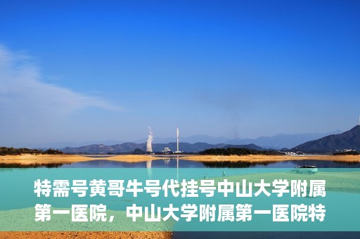 特需号黄哥牛号代挂号中山大学附属第一医院，中山大学附属第一医院特需号黄哥牛号代挂号服务解析