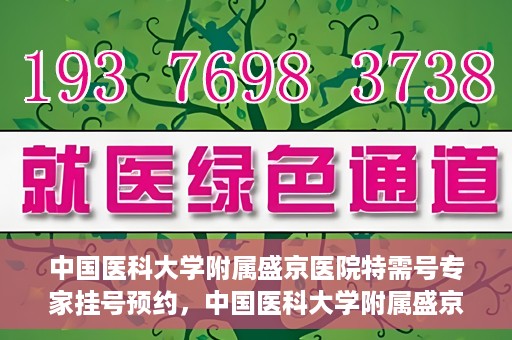 中国医科大学附属盛京医院特需号专家挂号预约，中国医科大学附属盛京医院特需专家挂号预约攻略