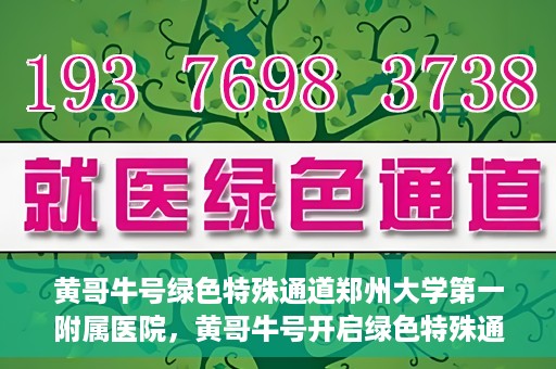 黄哥牛号绿色特殊通道郑州大学第一附属医院，黄哥牛号开启绿色特殊通道，助力郑州大学第一附属医院高效就医体验