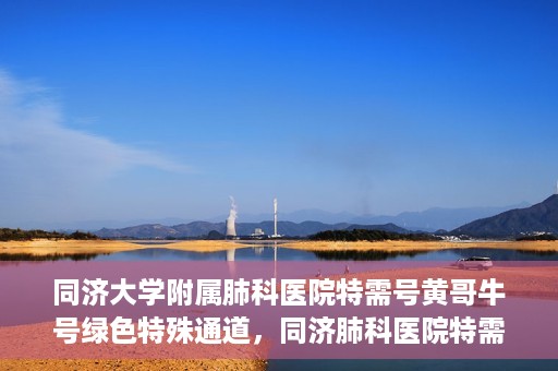 同济大学附属肺科医院特需号黄哥牛号绿色特殊通道，同济肺科医院特需号黄哥牛号，绿色特殊通道的独家解读