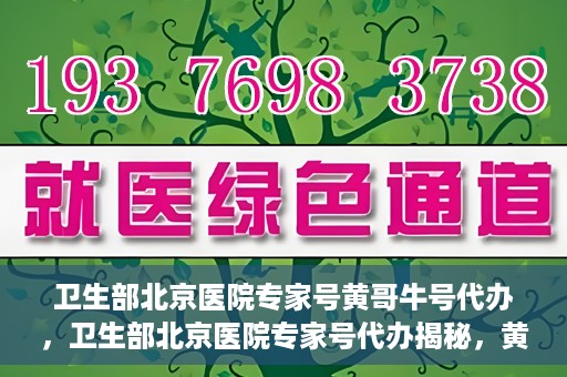 卫生部北京医院专家号黄哥牛号代办，卫生部北京医院专家号代办揭秘，黄哥牛号助您轻松预约专家资源