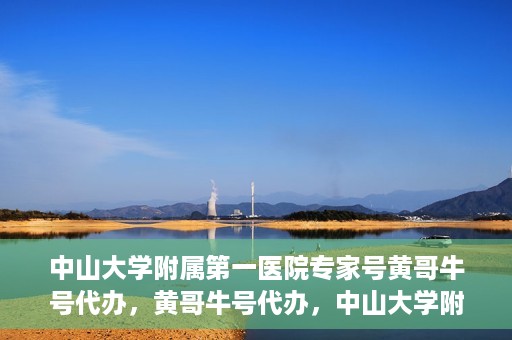 中山大学附属第一医院专家号黄哥牛号代办，黄哥牛号代办，中山大学附属第一医院专家号挂号攻略