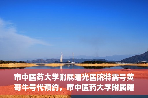 市中医药大学附属曙光医院特需号黄哥牛号代预约，市中医药大学附属曙光医院黄哥牛号特需号预约服务解析