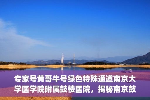 专家号黄哥牛号绿色特殊通道南京大学医学院附属鼓楼医院，揭秘南京鼓楼医院专家号黄哥牛号背后的绿色特殊通道内幕