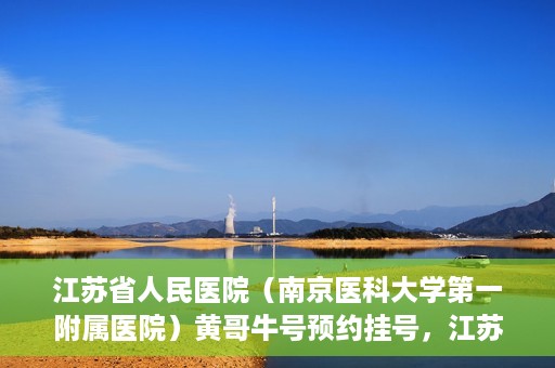 江苏省人民医院（南京医科大学第一附属医院）黄哥牛号预约挂号，江苏省人民医院（南京医科大学第一附属医院）黄哥牛号预约挂号攻略