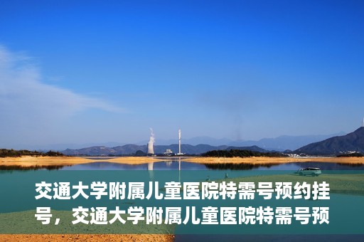 交通大学附属儿童医院特需号预约挂号，交通大学附属儿童医院特需号预约挂号指南，一站式解决您的挂号需求