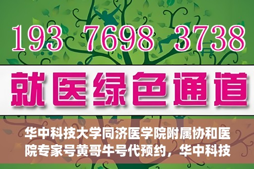 华中科技大学同济医学院附属协和医院专家号黄哥牛号代预约，华中科技大学同济医学院附属协和医院专家号预约服务解析——黄哥牛号预约攻略