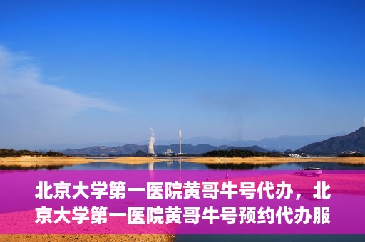 北京大学第一医院黄哥牛号代办，北京大学第一医院黄哥牛号预约代办服务攻略