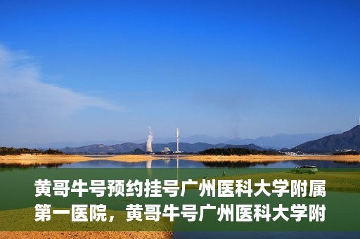 黄哥牛号预约挂号广州医科大学附属第一医院，黄哥牛号广州医科大学附属第一医院预约挂号攻略