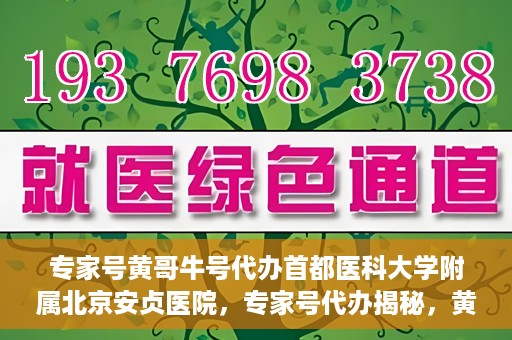 专家号黄哥牛号代办首都医科大学附属北京安贞医院，专家号代办揭秘，黄哥牛号与北京安贞医院的深度解析